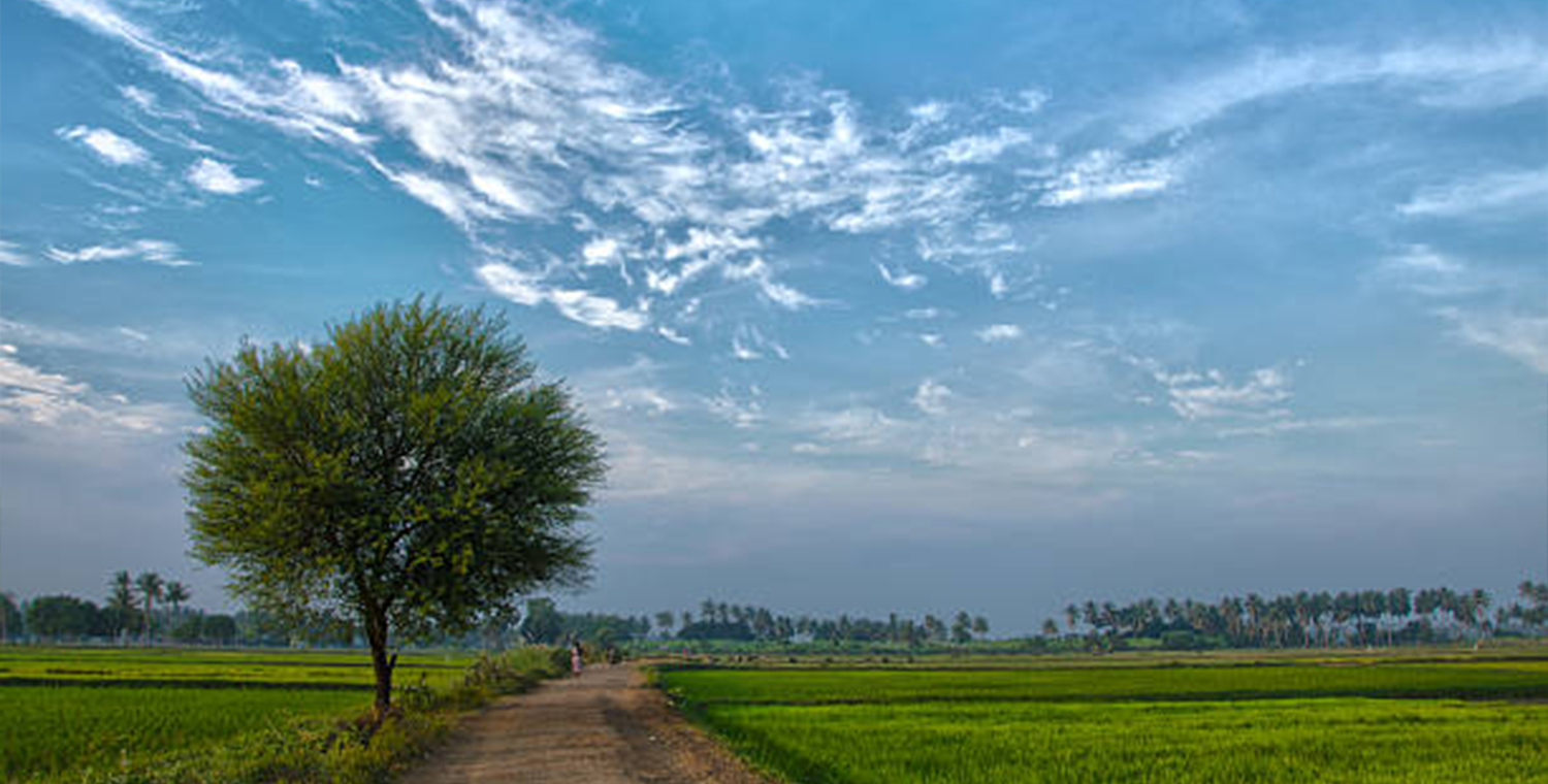 பழைய கிராமங்களின் அழகு: மரபும், இயற்கையும், பண்பாட்டும்